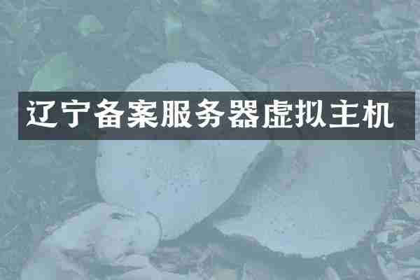 辽宁备案服务器虚拟主机