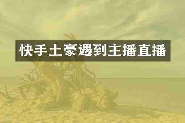 快手土豪遇到主播直播