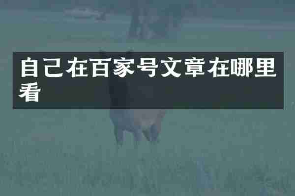 自己在百家号文章在哪里看