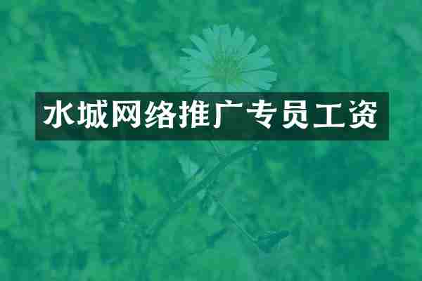 水城网络推广专员工资