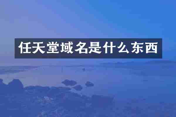 任天堂域名是什么东西
