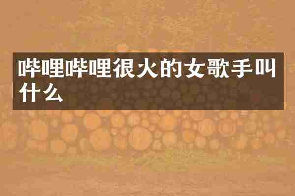 哔哩哔哩很火的女歌手叫什么