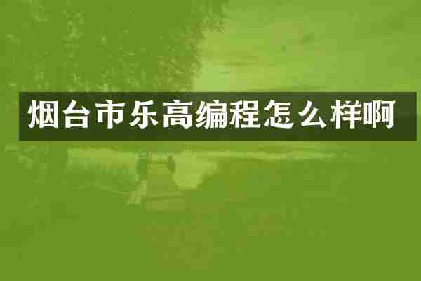 烟台市乐高编程怎么样啊