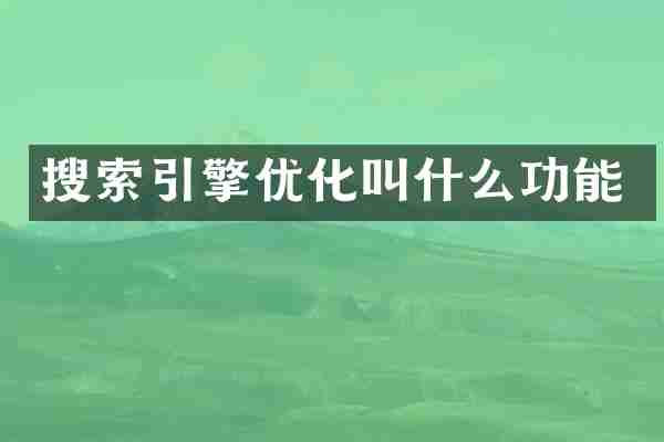 搜索引擎优化叫什么功能