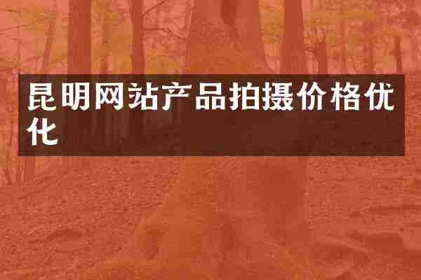 昆明网站产品拍摄价格优化