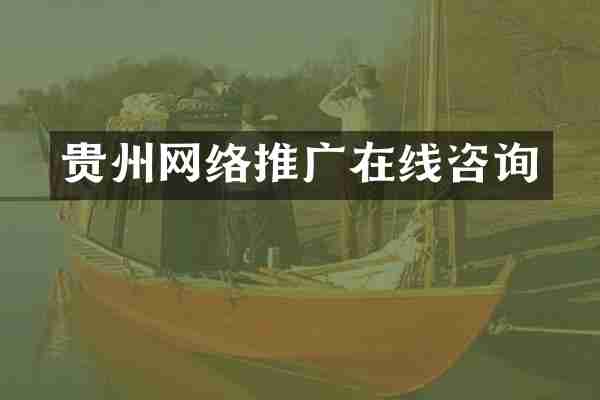 贵州网络推广在线咨询