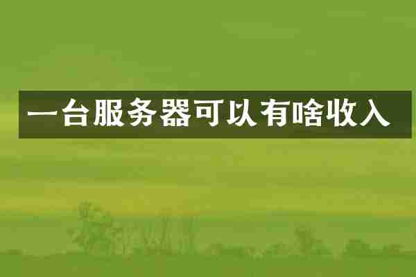 一台服务器可以有啥收入