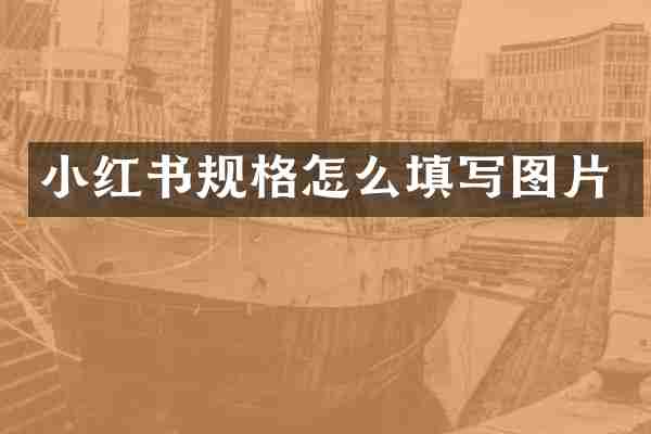 小红书规格怎么填写图片