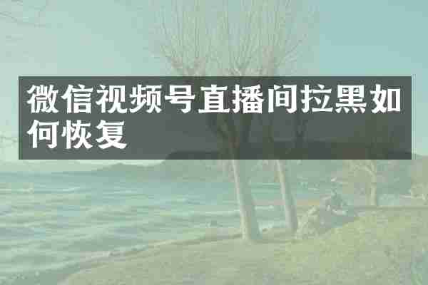 微信视频号直播间拉黑如何恢复