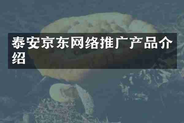 泰安京东网络推广产品介绍