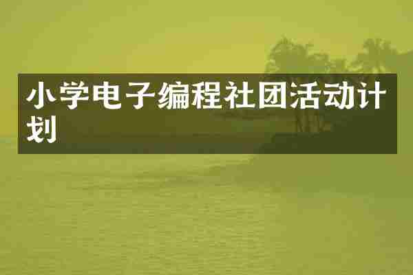 小学电子编程社团活动计划