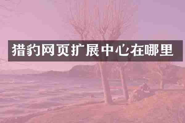 猎豹网页扩展中心在哪里