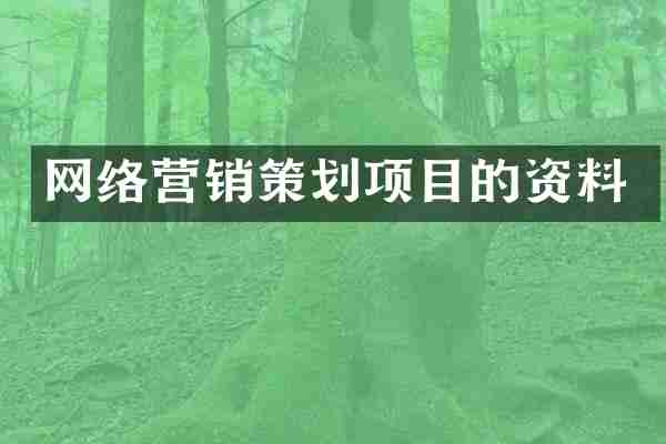网络营销策划项目的资料