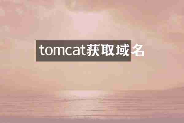 tomcat获取域名
