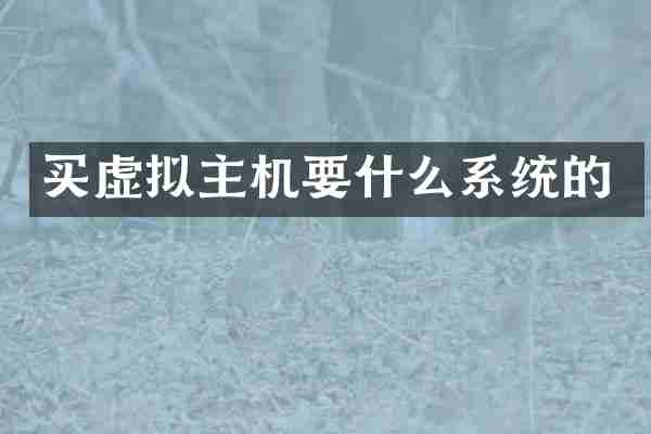 买虚拟主机要什么系统的