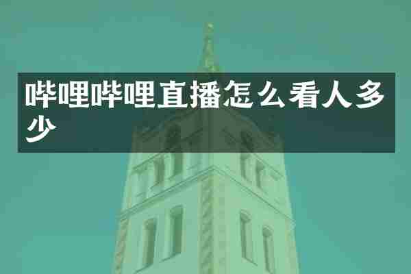 哔哩哔哩直播怎么看人多少