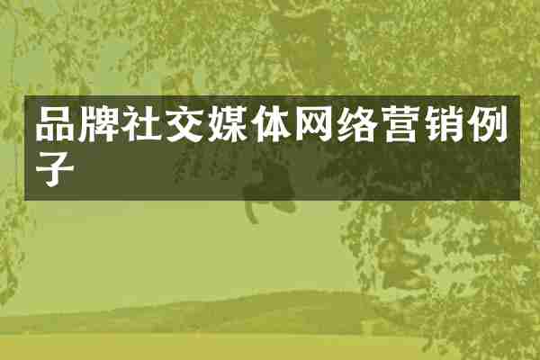 品牌社交媒体网络营销例子