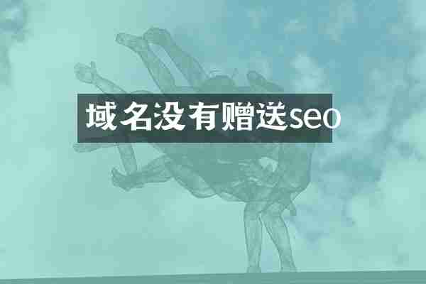 域名没有赠送seo