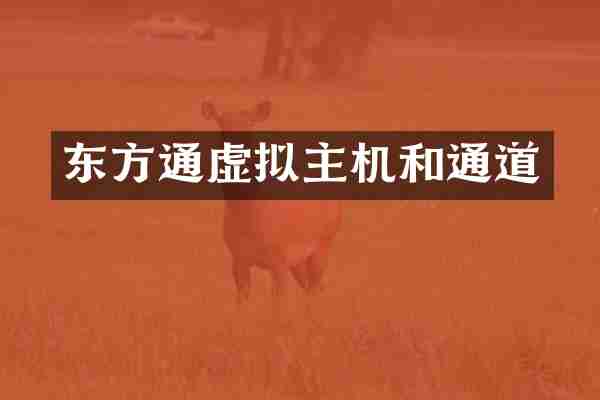 东方通虚拟主机和通道