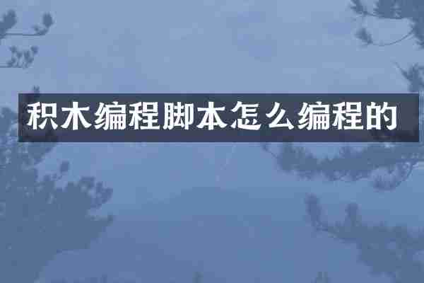 积木编程脚本怎么编程的
