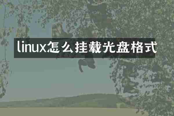 linux怎么挂载光盘格式