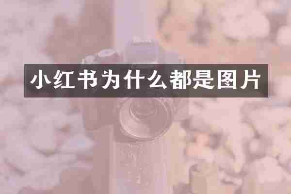 小红书为什么都是图片