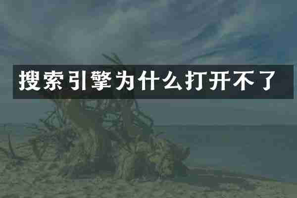 搜索引擎为什么打开不了