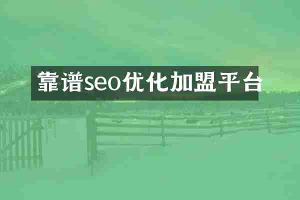 靠谱seo优化加盟平台