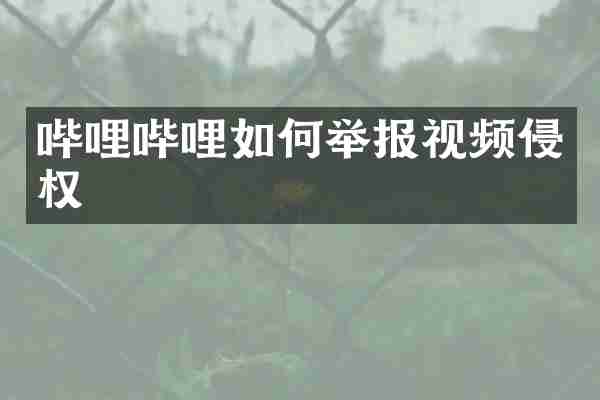 哔哩哔哩如何举报视频侵权
