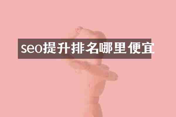 seo提升排名哪里便宜