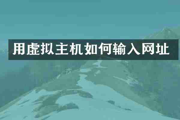 用虚拟主机如何输入网址