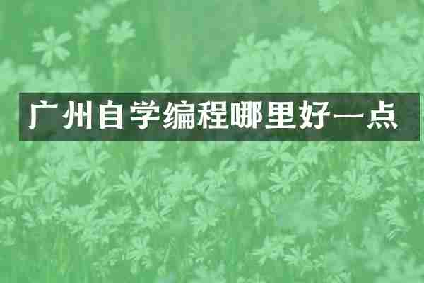 广州自学编程哪里好一点