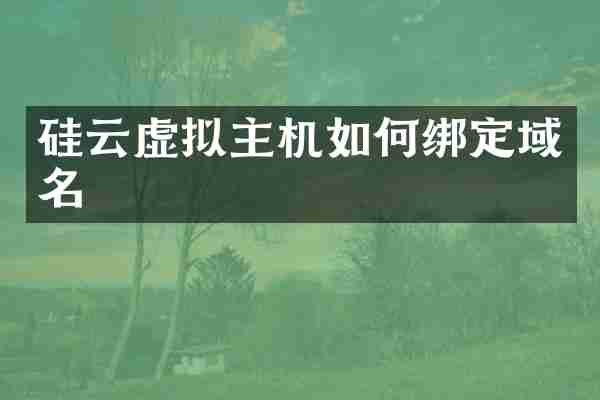 硅云虚拟主机如何绑定域名