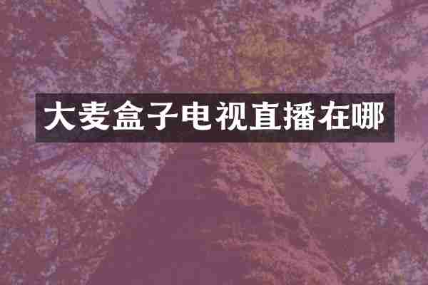 大麦盒子电视直播在哪
