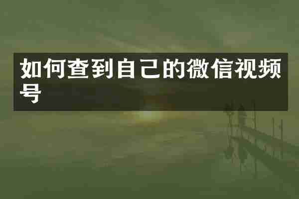 如何查到自己的微信视频号