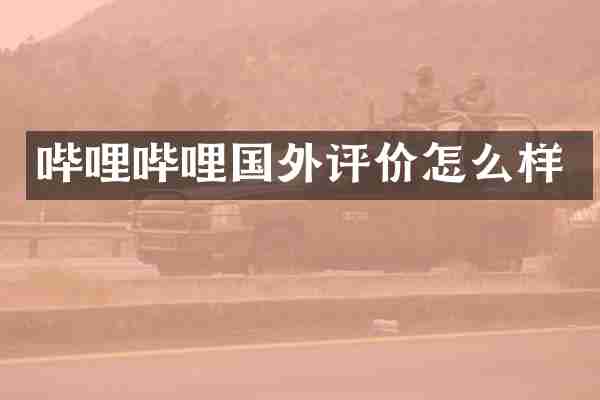 哔哩哔哩国外评价怎么样