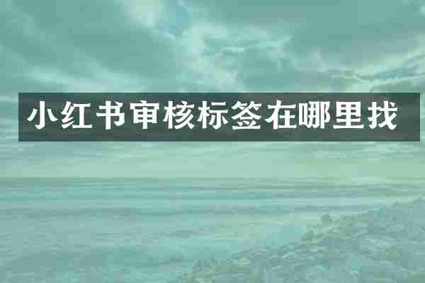 小红书审核标签在哪里找