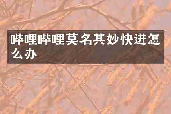 哔哩哔哩莫名其妙快进怎么办