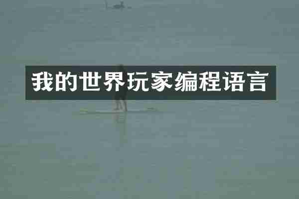 我的世界玩家编程语言