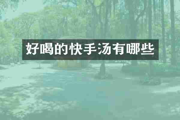 好喝的快手汤有哪些
