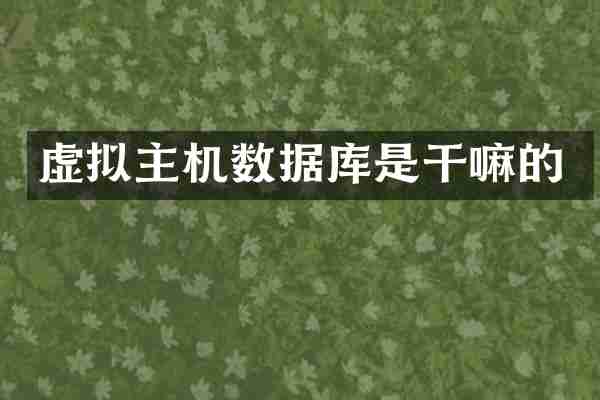 虚拟主机数据库是干嘛的