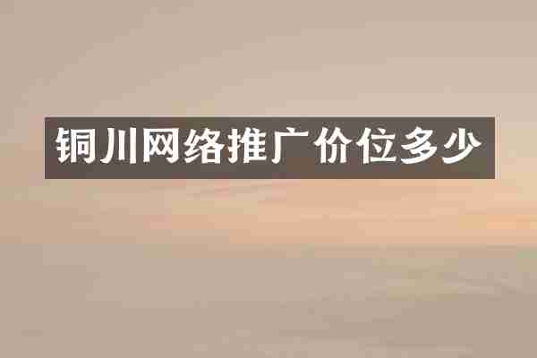 铜川网络推广价位多少