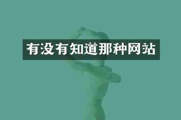 有没有知道那种网站