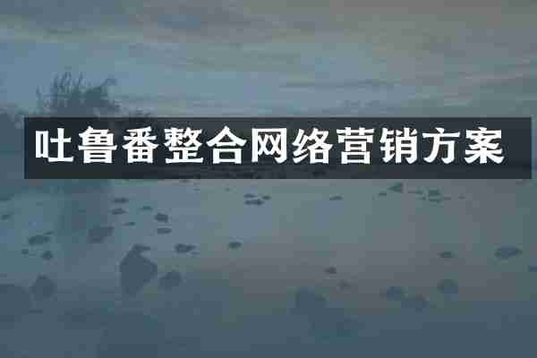吐鲁番整合网络营销方案
