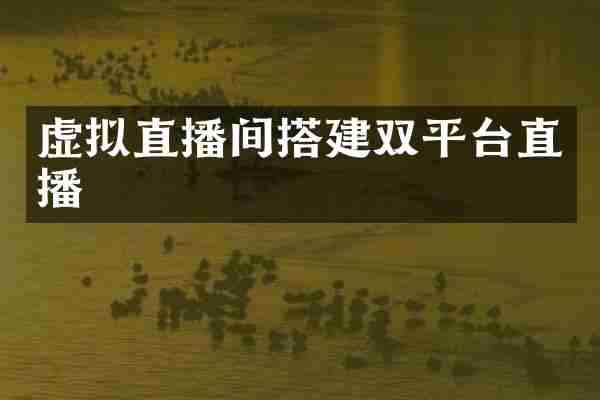 虚拟直播间搭建双平台直播