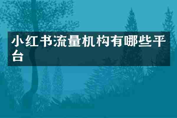 小红书流量机构有哪些平台