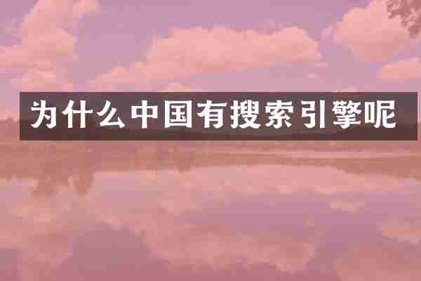 为什么中国有搜索引擎呢