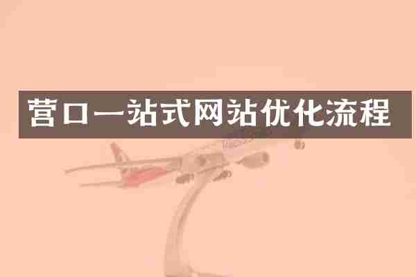 营口一站式网站优化流程