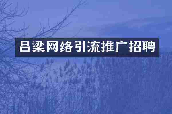 吕梁网络引流推广招聘