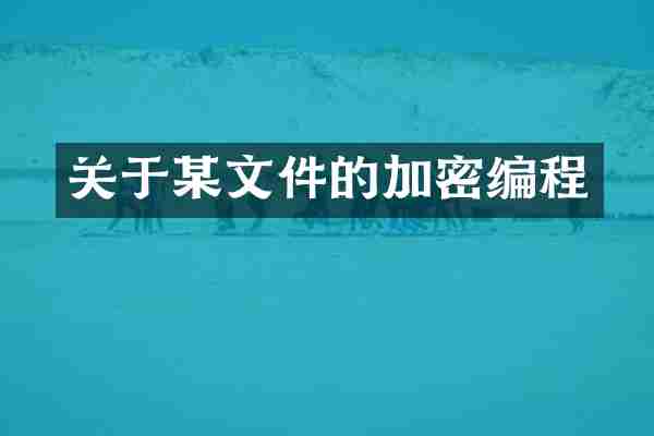 关于某文件的加密编程